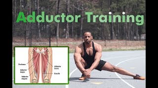 How to strengthen Adductors fix hip pain [upl. by Hesky]