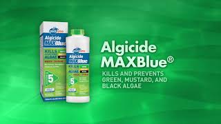 STEP 5 – ALGICIDE Pool Time® [upl. by Ilac]