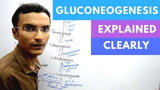 Gluconeogenesis Biochemistry [upl. by Noseyt]